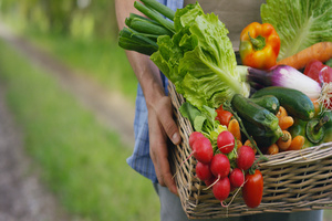Légumes dans un panier, porté par les mains d'un homme